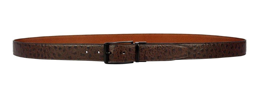 Printed Reversible  Belt